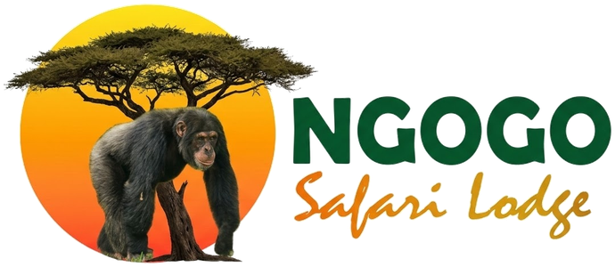 Ngogo Safari Lodge